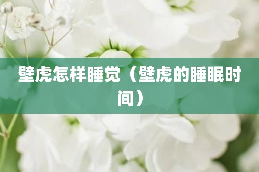 壁虎怎样睡觉（壁虎的睡眠时间）