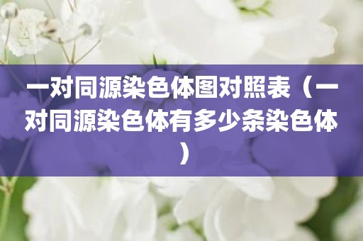 一对同源染色体图对照表（一对同源染色体有多少条染色体）