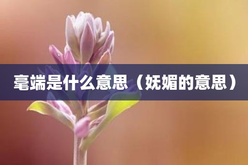 毫端是什么意思(妩媚的意思)