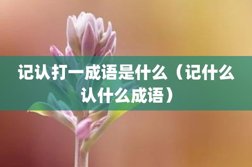 记认打一成语是什么(记什么认什么成语)