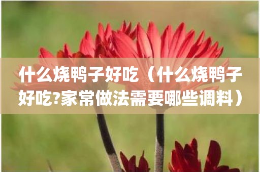 什么烧鸭子好吃（什么烧鸭子好吃?家常做法需要哪些调料）