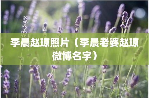 李晨赵琼照片（李晨老婆赵琼微博名字）