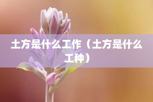 土方是什么工作（土方是什么工种）