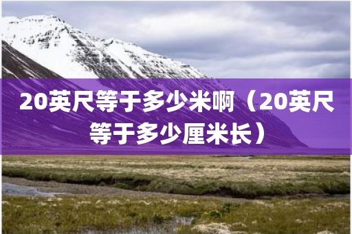 20英尺等于多少米啊（20英尺等于多少厘米长）