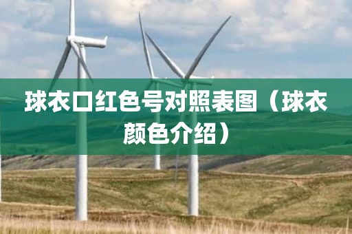 球衣口红色号对照表图（球衣颜色介绍）