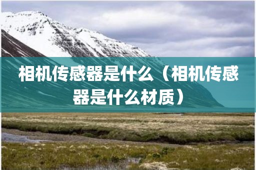 相机传感器是什么（相机传感器是什么材质）