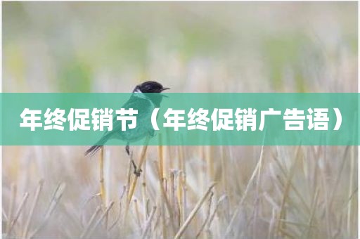 年终促销节（年终促销广告语）