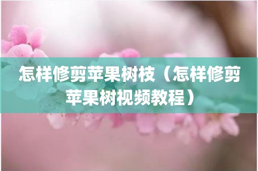 怎样修剪苹果树枝（怎样修剪苹果树视频教程）