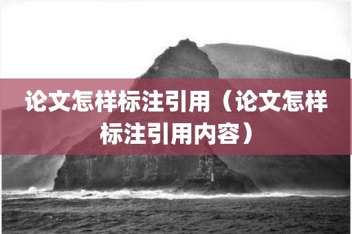 论文怎样标注引用（论文怎样标注引用内容）