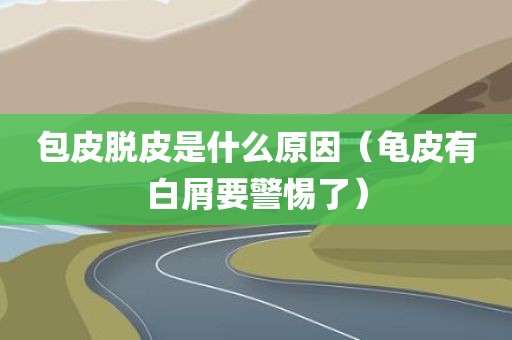 包皮脱皮是什么原因（龟皮有白屑要警惕了）