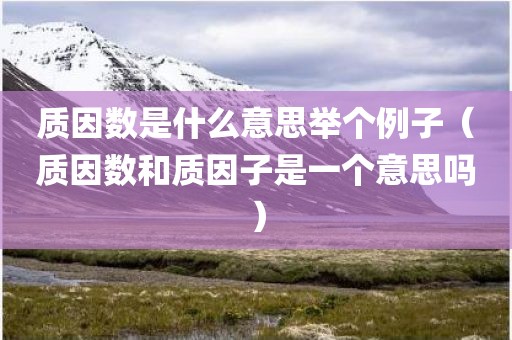 质因数是什么意思举个例子（质因数和质因子是一个意思吗）