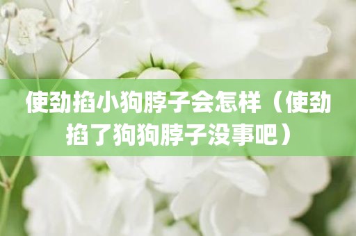 使劲掐小狗脖子会怎样（使劲掐了狗狗脖子没事吧）