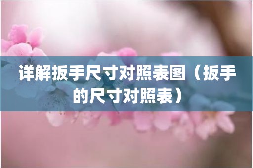 详解扳手尺寸对照表图(扳手的尺寸对照表)