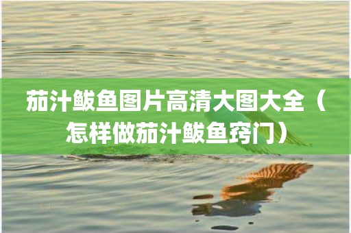 茄汁鲅鱼图片高清大图大全（怎样做茄汁鲅鱼窍门）