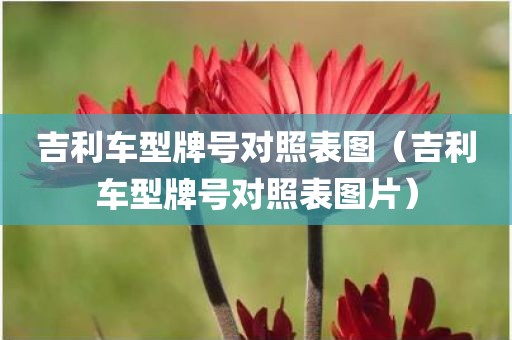 吉利车型牌号对照表图（吉利车型牌号对照表图片）