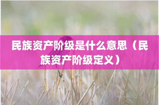 民族资产阶级是什么意思（民族资产阶级定义）