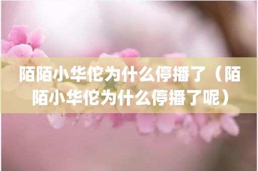 陌陌小华佗为什么停播了（陌陌小华佗为什么停播了呢）