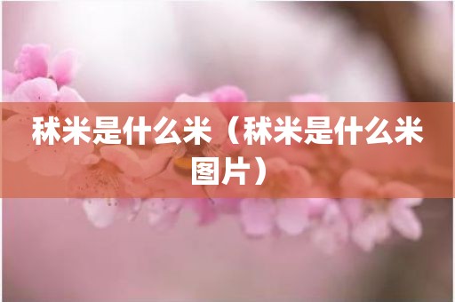 秫米是什么米（秫米是什么米图片）