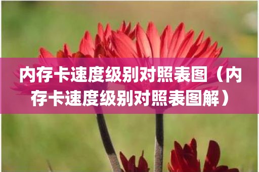 内存卡速度级别对照表图（内存卡速度级别对照表图解）
