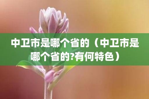 中卫市是哪个省的（中卫市是哪个省的?有何特色）