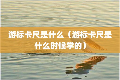 游标卡尺是什么（游标卡尺是什么时候学的）