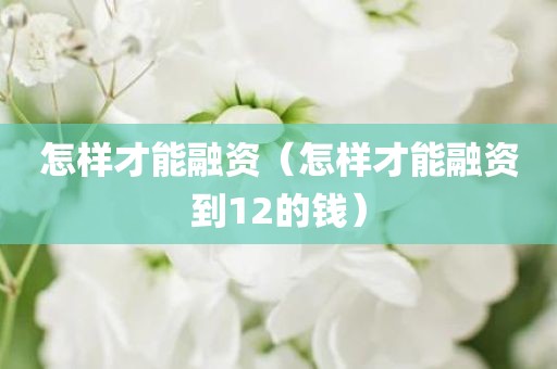 怎样才能融资（怎样才能融资到12的钱）