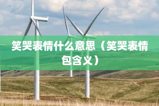 笑哭表情什么意思（笑哭表情包含义）