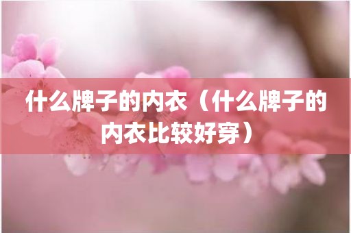 什么牌子的内衣（什么牌子的内衣比较好穿）