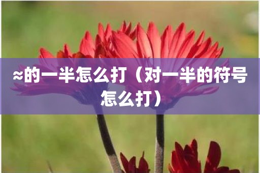 ≈的一半怎么打（对一半的符号怎么打）