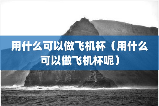 用什么可以做飞机杯（用什么可以做飞机杯呢）