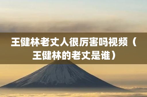 王健林老丈人很厉害吗视频（王健林的老丈是谁）