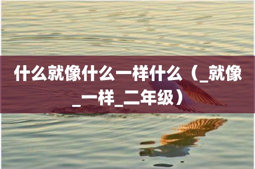 什么就像什么一样什么（_就像_一样_二年级）