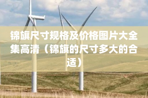 锦旗尺寸规格及价格图片大全集高清（锦旗的尺寸多大的合适）