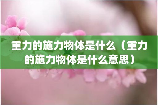 重力的施力物体是什么（重力的施力物体是什么意思）