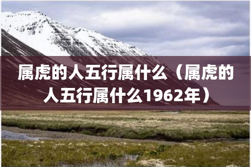 属虎的人五行属什么（属虎的人五行属什么1962年）
