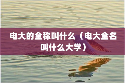 电大的全称叫什么（电大全名叫什么大学）