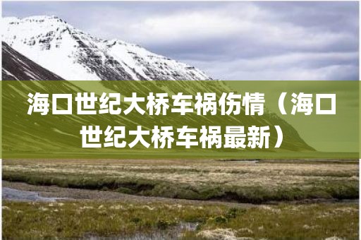 海口世纪大桥车祸伤情（海口世纪大桥车祸最新）
