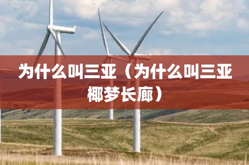 为什么叫三亚（为什么叫三亚椰梦长廊）