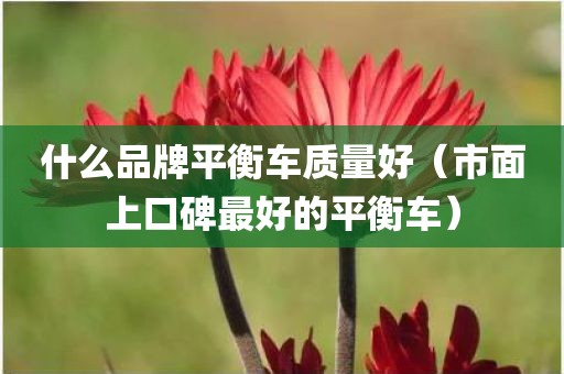 什么品牌平衡车质量好（市面上口碑最好的平衡车）