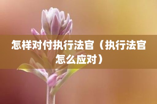 怎样对付执行法官(执行法官怎么应对)