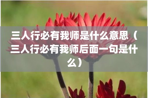 三人行必有我师是什么意思（三人行必有我师后面一句是什么）