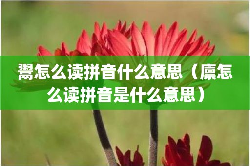 鬻怎么读拼音什么意思（廪怎么读拼音是什么意思）