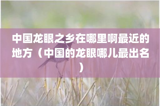 中国龙眼之乡在哪里啊最近的地方（中国的龙眼哪儿最出名）
