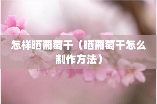 怎样晒葡萄干（晒葡萄干怎么制作方法）