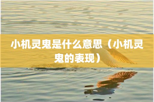 小机灵鬼是什么意思(小机灵鬼的表现)