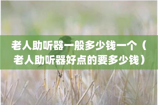 老人助听器一般多少钱一个（老人助听器好点的要多少钱）