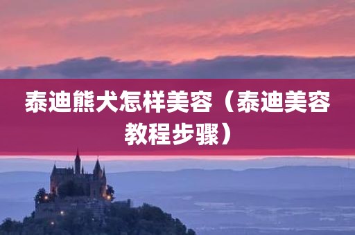 泰迪熊犬怎样美容（泰迪美容教程步骤）