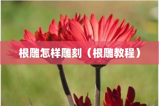 根雕怎样雕刻（根雕教程）