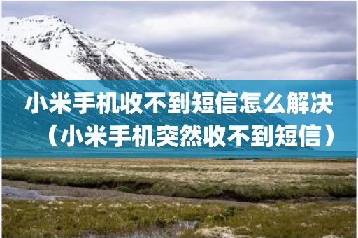 小米手机收不到短信怎么解决（小米手机突然收不到短信）