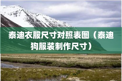 泰迪衣服尺寸对照表图（泰迪狗服装制作尺寸）